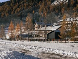 Webinar su infrastrutture culturali nelle Alpi