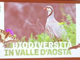 Giornata mondiale della biodiversità 2025