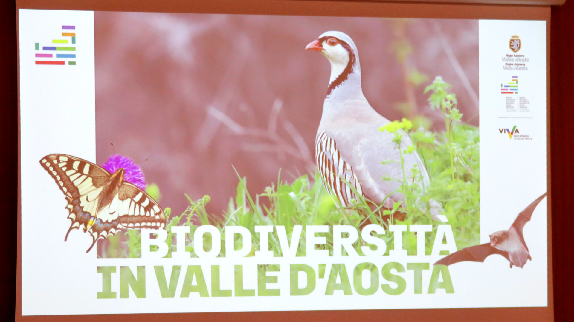 Giornata mondiale della biodiversità 2025