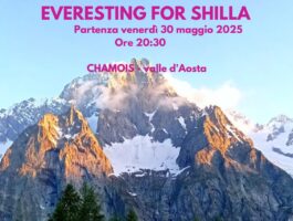 Everesting for Shilla 2025 a Chamois