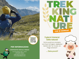 Trekking Nature 2025