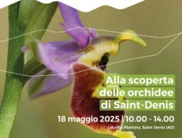 Escursione alla scoperta delle orchidee di Saint-Denis