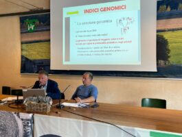 Assemblea Anaborava 2025