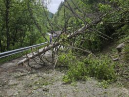 Riaperta la strada per Valgrisenche dopo caduta piante
