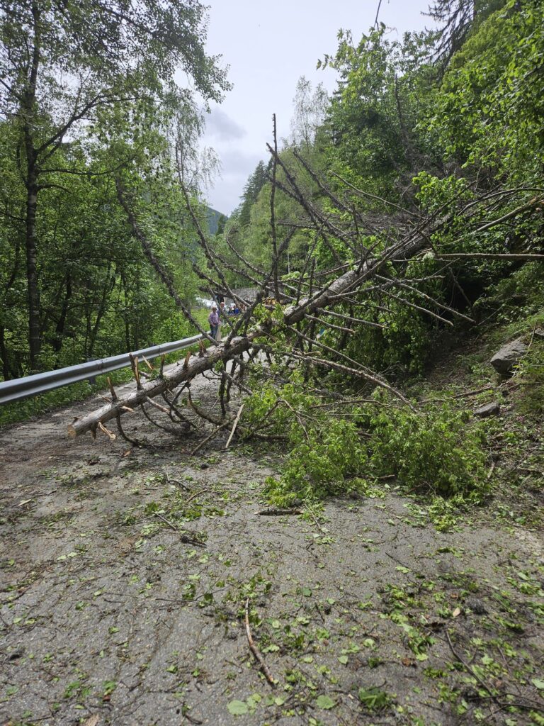 Riaperta la strada per Valgrisenche dopo caduta piante