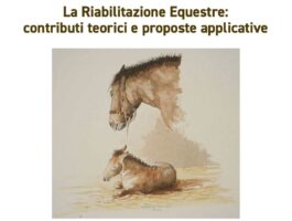 La riabilitazione equestre: approcci terapeutici e casi applicativi