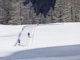 Sci di fondo: +11% nella stagione 2024/25