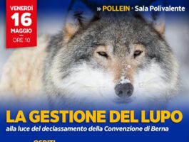 Lega VdA: incontro sulla gestione del lupo
