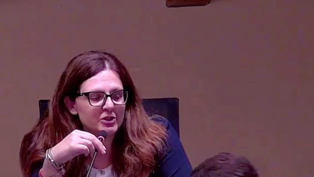 Fabiola Megna, nuovo direttore di Plus, durante l'audizione in prima Commissione