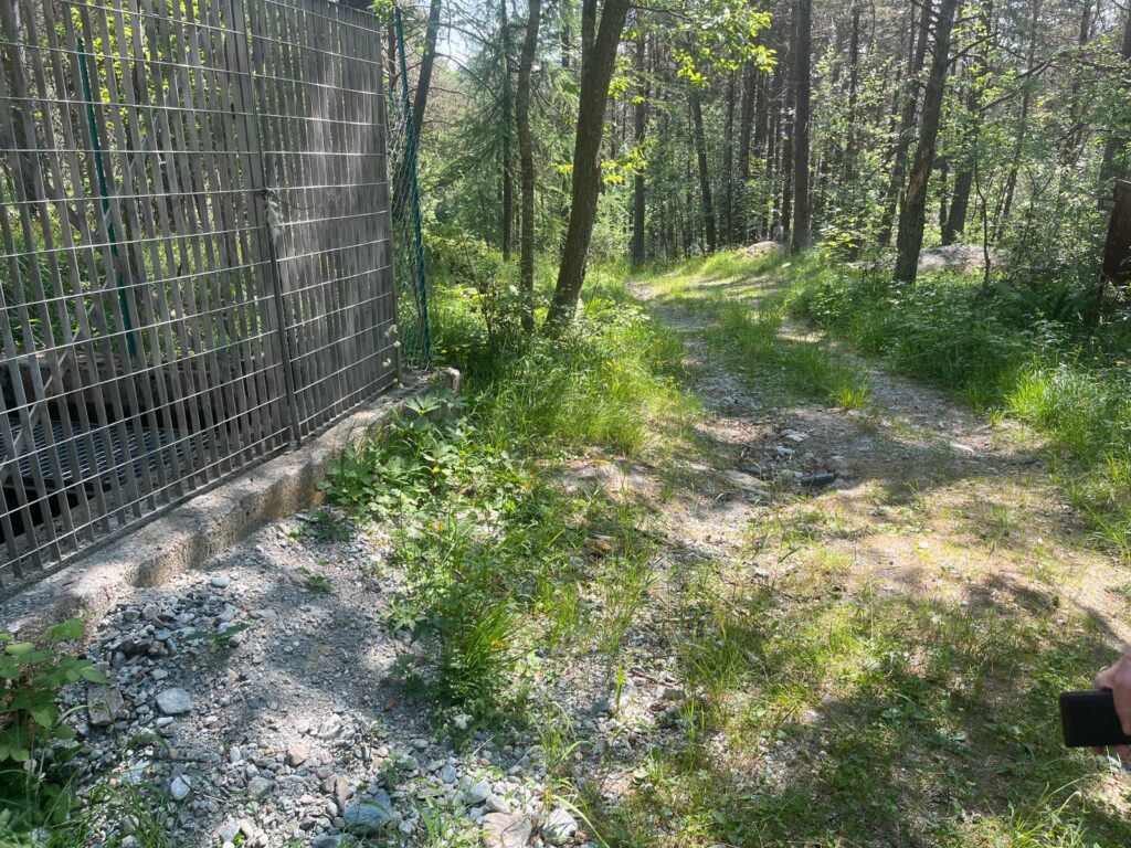 Stato di abbandono del percorso naturalistico di Champdepraz per disabili