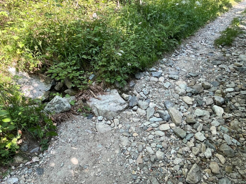 Stato di abbandono del percorso naturalistico di Champdepraz per disabili
