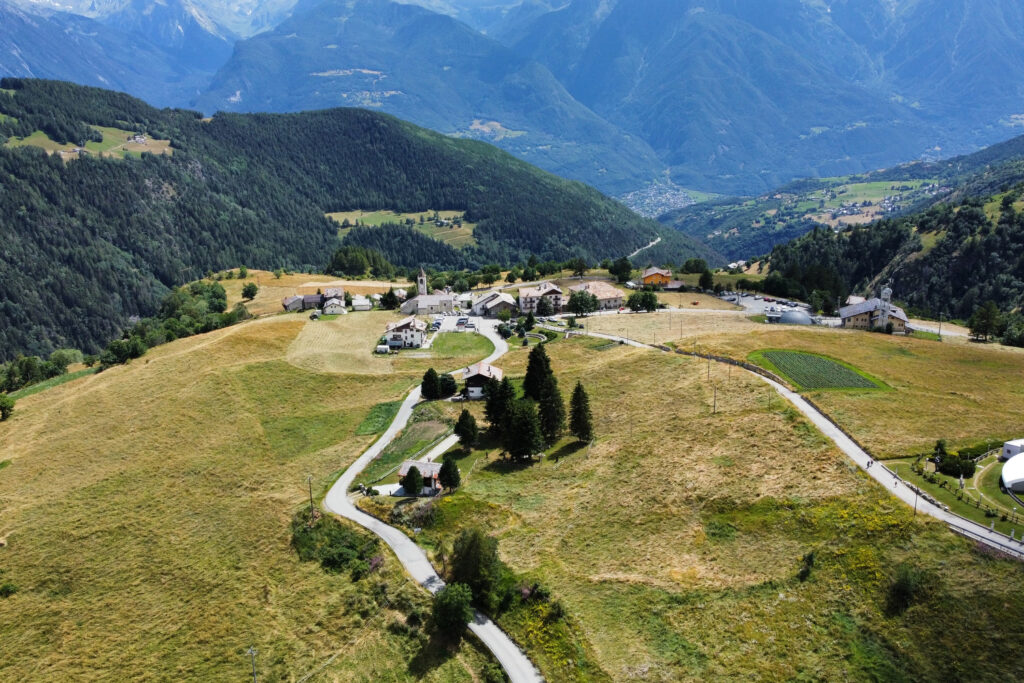 Lignan(1)