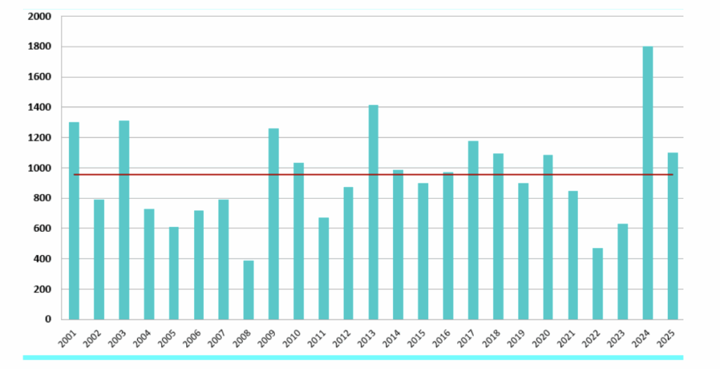 accumuli del Ghiacciaio del Timorion misurati nella seconda metà di maggio di ogni anno