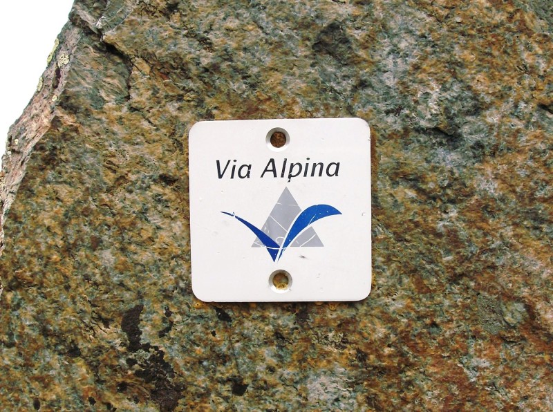 La Via Alpina compie 25 anni