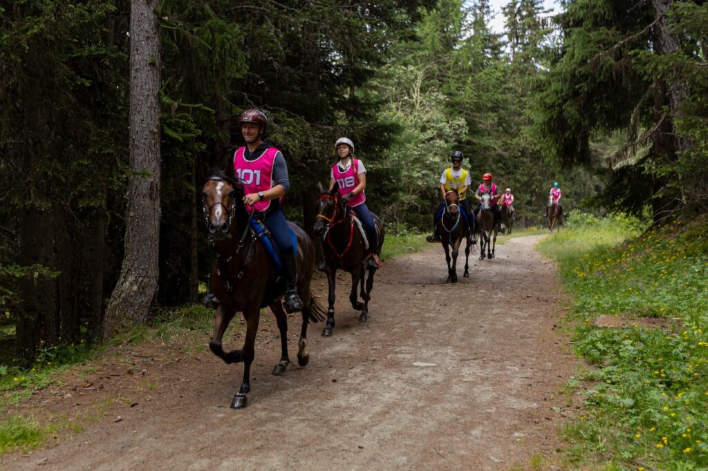 Equitazione. Momenti Di Gara Torgnon Endurance 2025