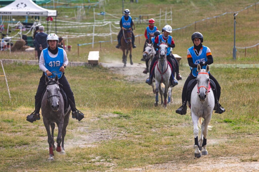 Equitazione. 419 Bellancini