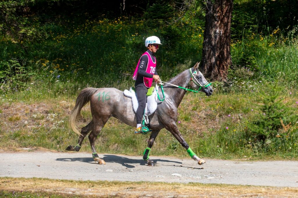 Equitazione. Cei1* 105 Km Daniele Serioli Su Zalouki (116)