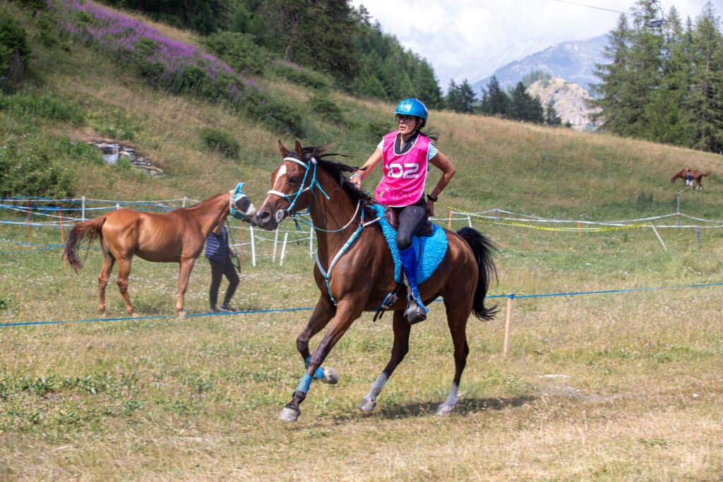 Equitazione. Federica Favre (cism)