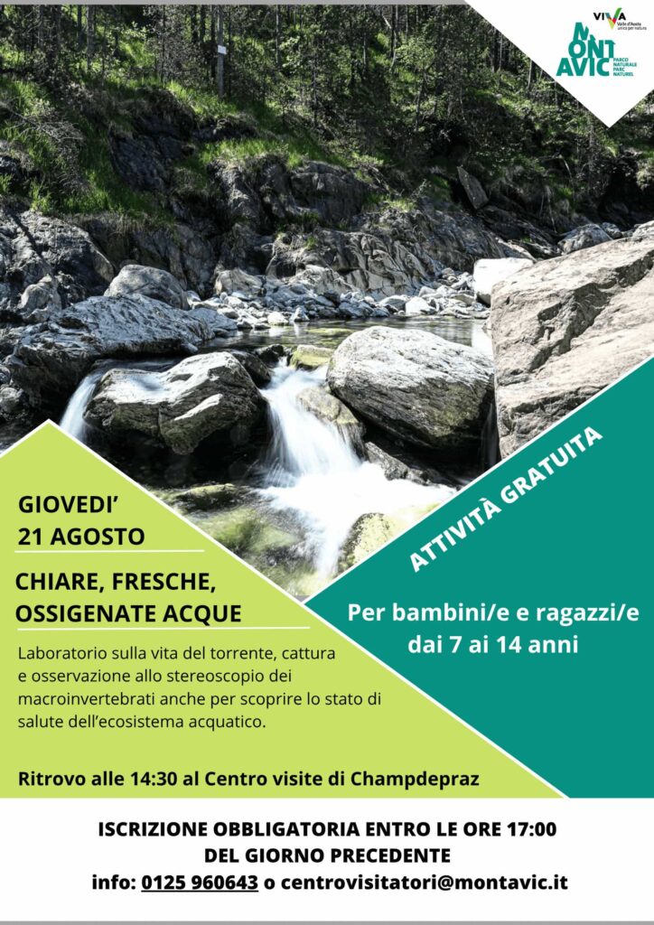 Locandina Chiare, fresche ossigenate acque