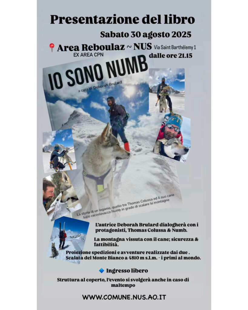 Locandina Di Presentazione Del Libro Io Sono Numb