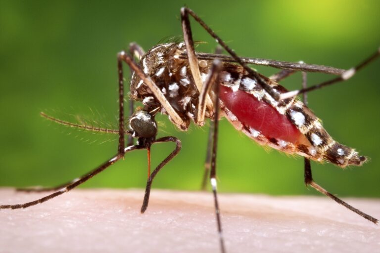 Un paziente positivo al virus West Nile