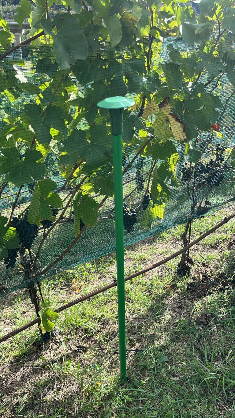 Dissuasori olfattivi a difesa delle colture dai danni da fauna selvatica