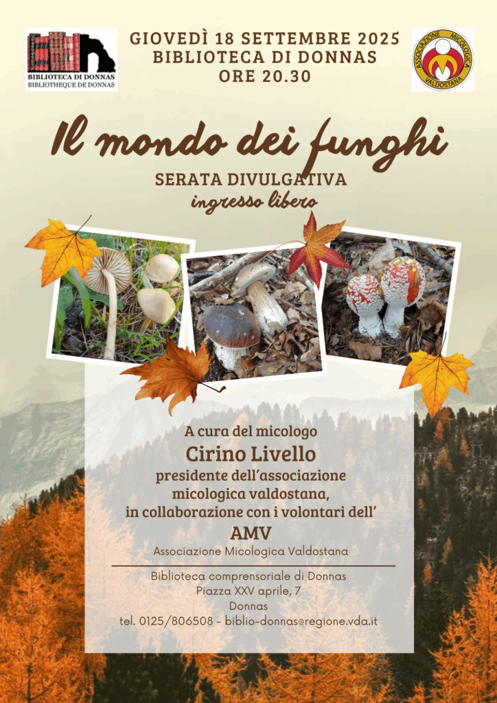 Funghi