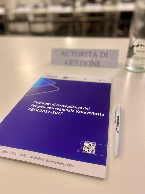 Comitato di sorveglianza Fesr 2025