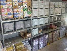 Colletta alimentare 2025