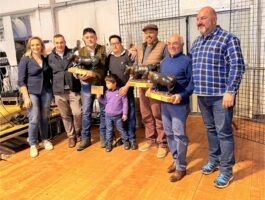 Concours régional Batailles de reines 2025