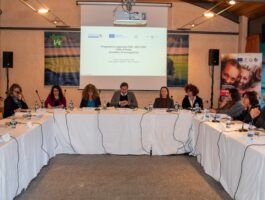 Comitato di sorveglianza Fse 2025