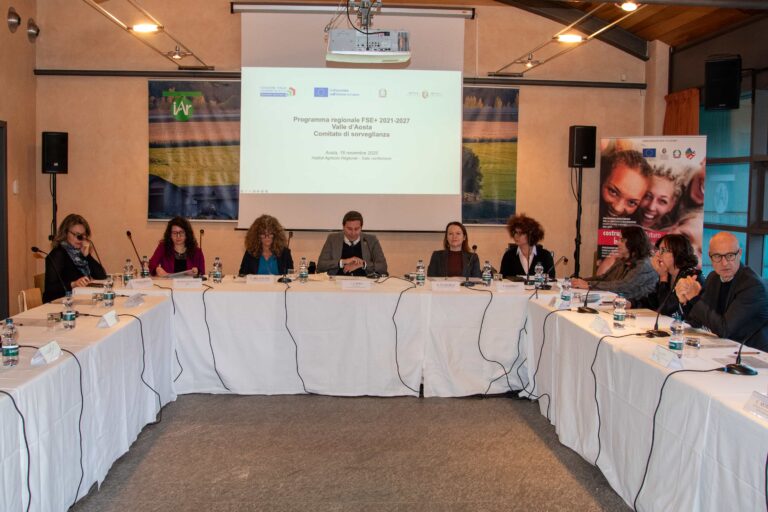 Comitato di sorveglianza Fse 2025