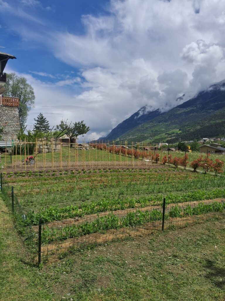 Emporio Solidale Quotidiamo Mon Courtì Casa Aquilegia