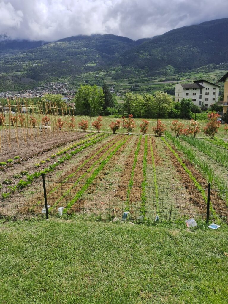 Emporio Solidale Quotidiamo Mon Courtì Casa Aquilegia