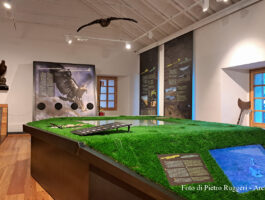 Apertura per le festività natalizie del Centro visitatori del Parco Mont Avic