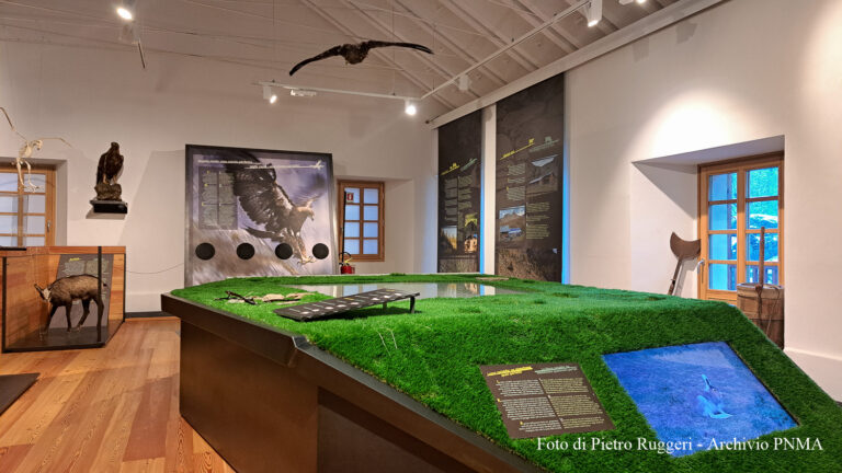 Apertura per le festività natalizie del Centro visitatori del Parco Mont Avic