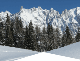 Giornata internazionale della montagna 2025