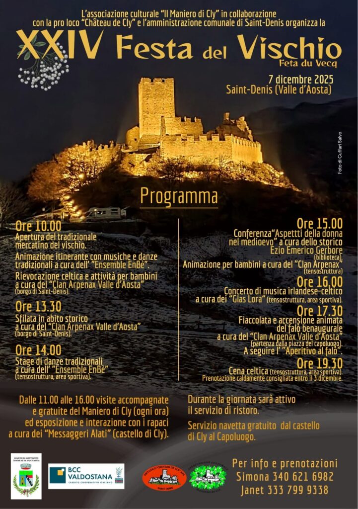 Locandina Festa del vischio 2025