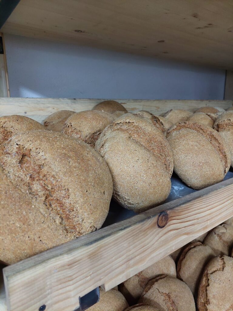 Il pane solidale dei giovani di Sarre