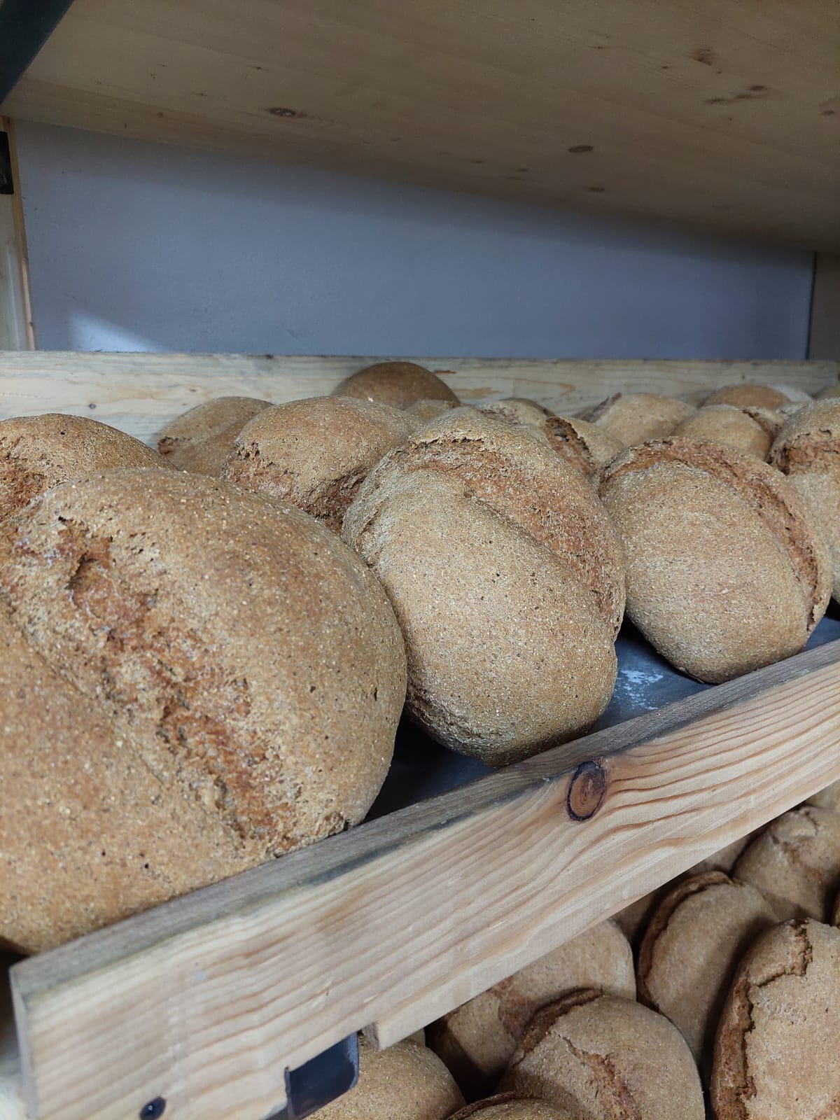 Il pane solidale dei giovani di Sarre