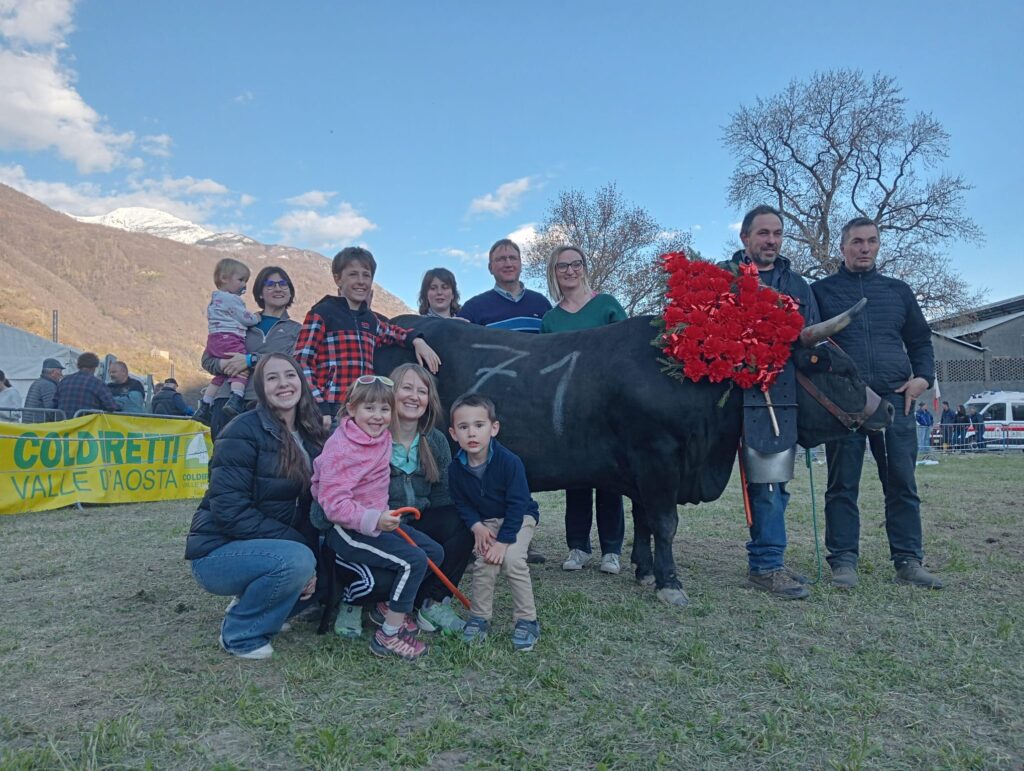 1° Di 1° Cat. Miccia - Miccia, regina di prima categoria all'eliminatoria di Pont-saint-Martin del 29 marzo 2026 del Concours régional Batailles de reines