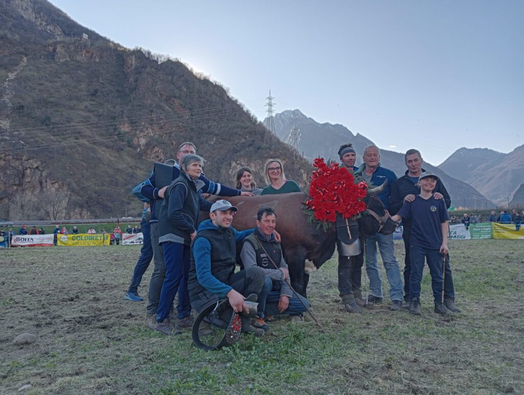 1° Di 2° Cat. Altesse - Altesse, regina di seconda categoria all'eliminatoria di Pont-saint-Martin del 29 marzo 2026 del Concours régional Batailles de reines