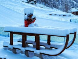 A Gressoney apre la pista di slittino Murmeltier