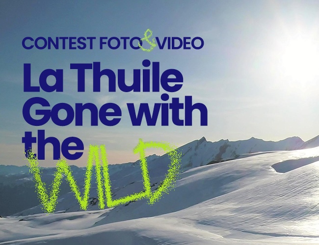 Locandina Gone With The Wild