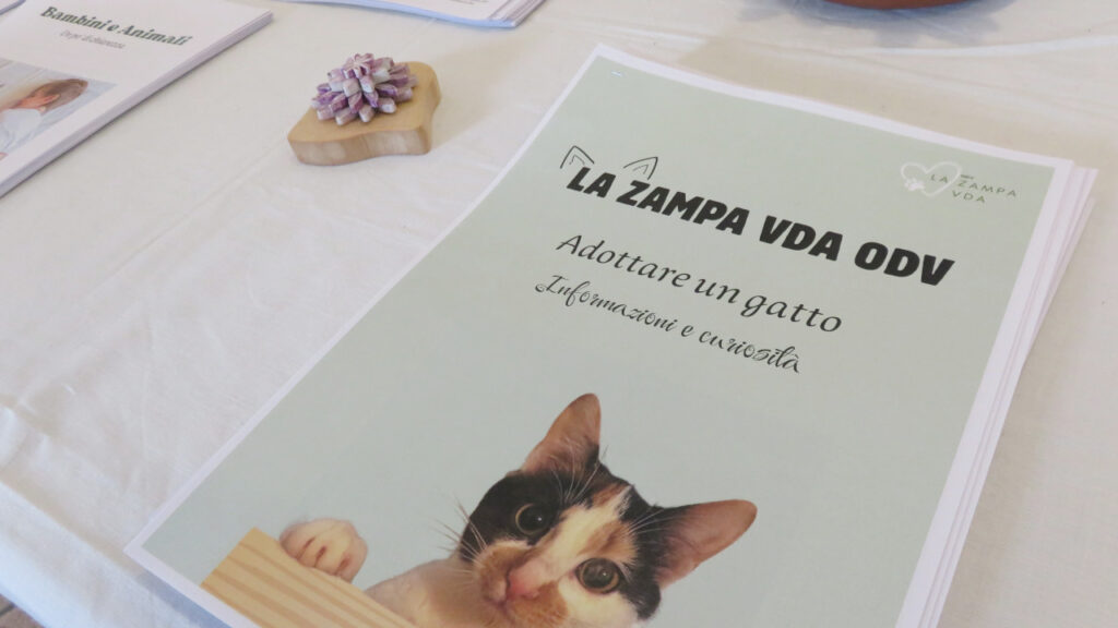 I consigli dell'associazione 'La Zampa VdA' su come adottare un gatto