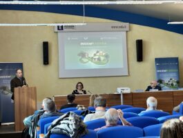 Chambre valdôtaine: una roadmap sulla transizione energetica