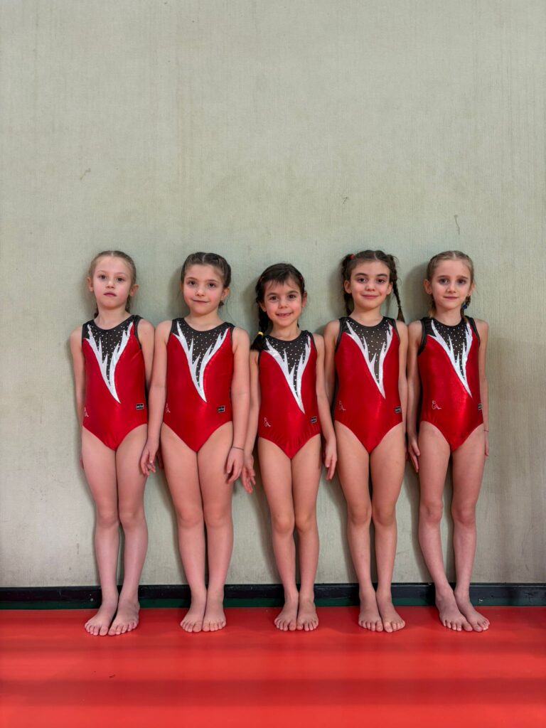 Le Ginnaste Dell'artistica Gym Aosta