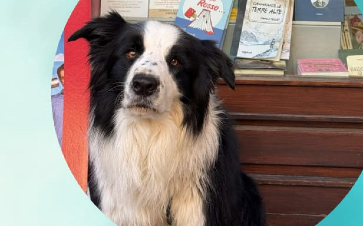 Ciclo di laboratori di lettura e non solo con Thor