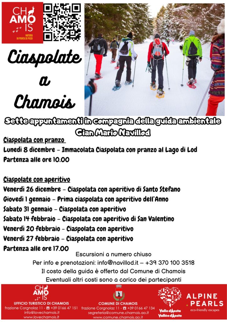 Locandina Ciaspolate