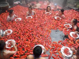 Nutrire il mondo, la sfida globale dell’alimentazione